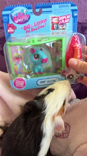 LPS Series 3 Pet Nook 4 of 4 unboxing🥤🏄🏽‍♂️👒 #fyp #lps #littlestpetshop #littlestpetshops @Littlest Pet Shop