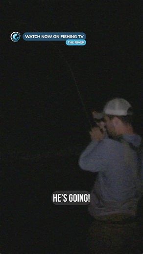 The worlds biggest mayfly hatch at night - ‘The River’ on FishingTV Click the link to watch now! https://www.fishingtv.com/video/the-river/ The AuSable River, Michigan is regarded by many as the one of the finest trout rivers in America. In this beautifully crafted film by Robert Thompson, we meet just a few of the anglers who have been captivated by its mystique, its legendary hatches and its fickle brown trout. We also meet some of the people who have devoted their lives to the preservation an