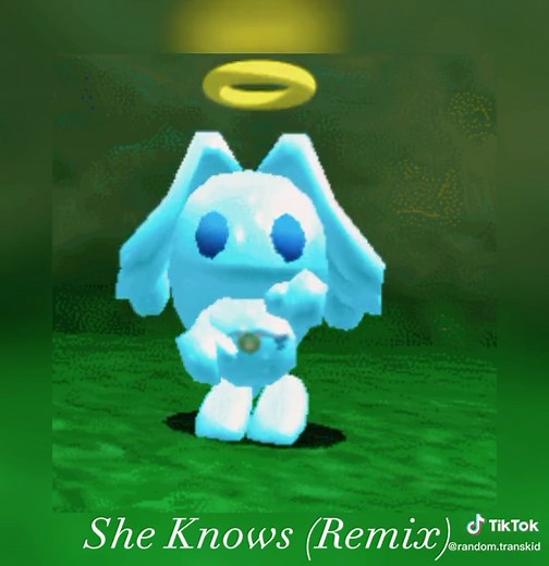 She knows remix |#fyp #xyzbca #fullsong #pixelgif #sheknowstpain #tpainremix
