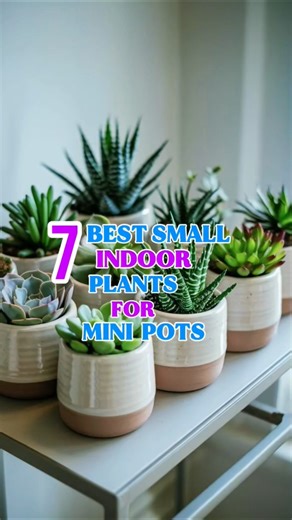 10 CUTEST Mini Plants for Tiny Pots 🌿 (Perfect for Small Spaces & Aesthetic Decor!)
