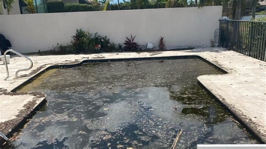Dirty jobs: Cleaning swimming pools can be icky - from algae to mud to coconuts?