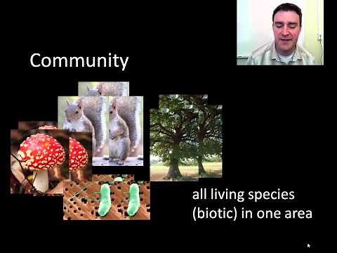 Levels of ecological study