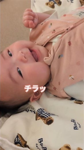 笑ったあとに合ってるか確認してくる赤ちゃん👶 #赤ちゃん #赤ちゃんのいる生活 #3monthbaby #babylaughing #0歳 #育児