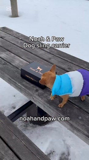 Milton loves his Noah & Paw dog carrier! It’s so comfy, soft and warm. It’s comfortable wearing the carrier for serval hours, and it has compartments and storage for my personal belongings. Check them out! @noah_and_paw | www.noahandpaw.com #dog #doglover #pets #chihuahua #chihuahualove | miltonnkez