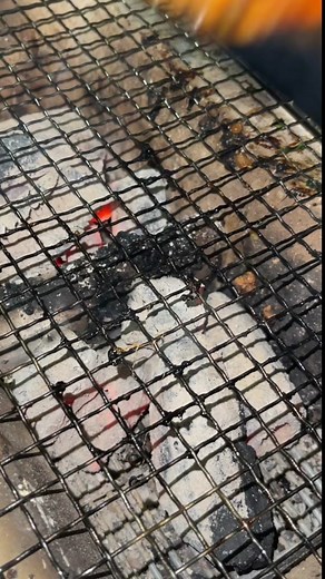 美味しい炭火うな重の作り方ガイド