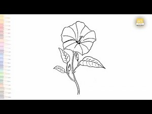 Morning glory flower drawing easy | Outline sketches | How to draw Morning glory step by step