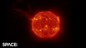 50K views · 496 reactions | The “largest solar prominence eruption ever observed in a single image together with the full solar disc," was captured by the Solar Orbiter, according to the European Space Agency. Imagery from the ESA/NASA SOHO spacecraft of the blast is also shown. Read the full story @ space.com! - https://trib.al/Twqodpr : Space.com | footage courtesy: ESA/NASA | produced & edited by Steve Spaleta | Space.com | Facebook