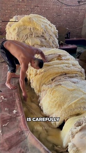 From Raw Sheepskin to a Cozy Wool Blanket – The Process Will Surprise You!