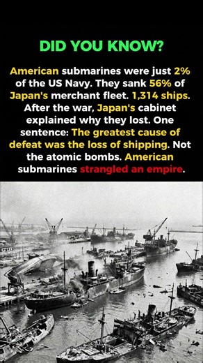 5.3 MILLION Tons: The Destruction Japan Never Recovered From 😱