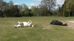 November PONY is out now, and you won't want to miss out! | PONY Mag