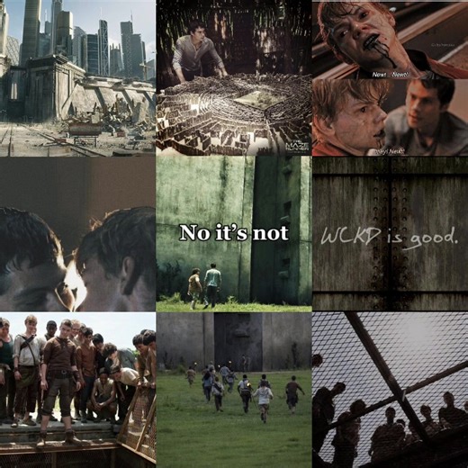 TMR_fan._. on TikTok