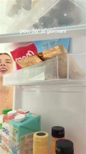 Mini Kühlschrank füllen für coole Sommermomente