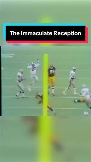 The Immaculate Reception still holds up 53 years later🥹 #TheImmaculateReception #Steelers #NFL #GoosebumpSports #football