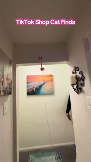 Revolutionize Playtime with This Automatic Cat Toy