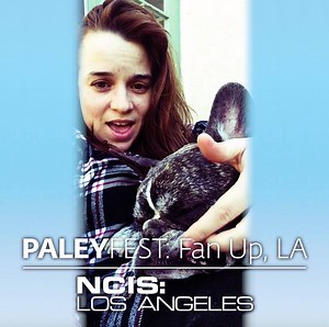 58K views · 27 shares | Don't miss this! You can see the cast of NCIS: Los Angeles at PaleyFest LA on 3/21. Buy tickets here: paley.me/ncisla | NCIS: Los Angeles | Facebook