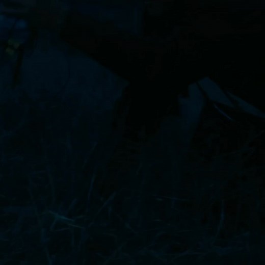 Available to rent or buy on Fandango at Home. | Fandango at Home