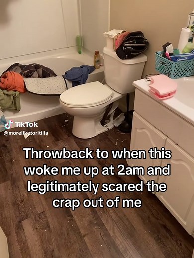 Uncovering the Fear: The Drain Snake Experience