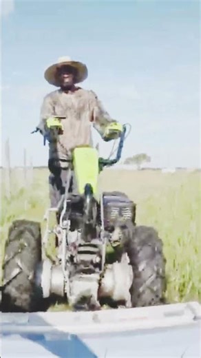 Goat pasture | walk-behind tractor