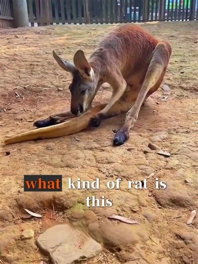 #science #usa#popular