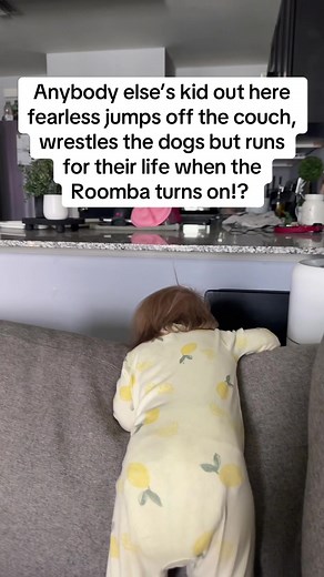 Toddlers vs Roomba: The Fearless Meets Technology
