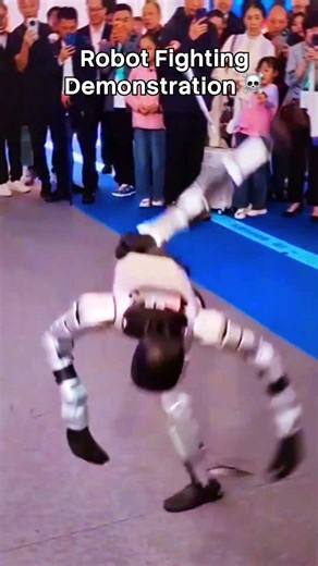 Robot Fighting Demonstration