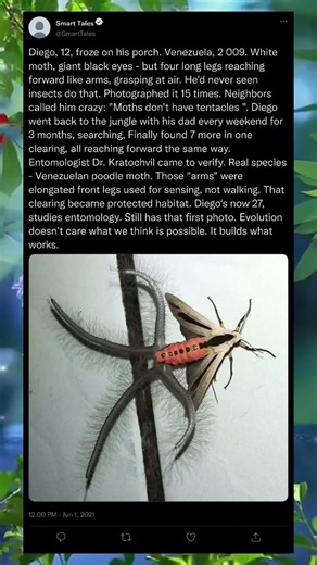 A Moth So Unreal, People Thought It Was Fake 🤯✨ #shorts