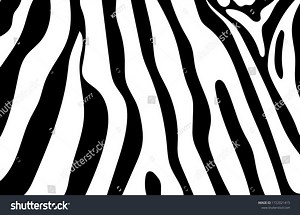 Black White Zebra Stripes Background Zebra Stock Vector (Royalty Free) 1722021415 | Shutterstock