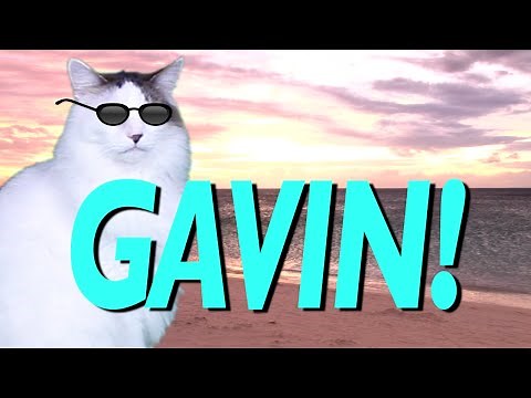 HAPPY BIRTHDAY GAVIN! - EPIC CAT Happy Birthday Song