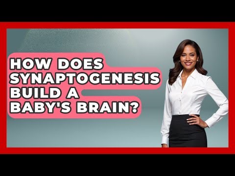 How Does Synaptogenesis Build A Baby's Brain? - Brain Development Hub