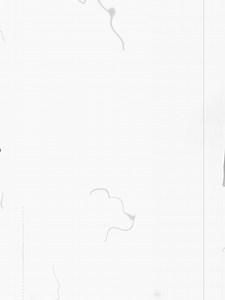 In Another Life: Aesthetic Song Lyrics Interpretation