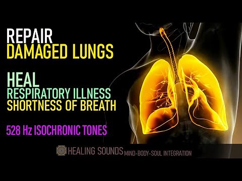 Repair Your Lungs Damage | Heal Respiratory Illness Shortness Of Breath | Isochronic Tones | 528 Hz