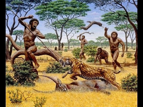 Ape To Man [Evolution Documentary History Channel]