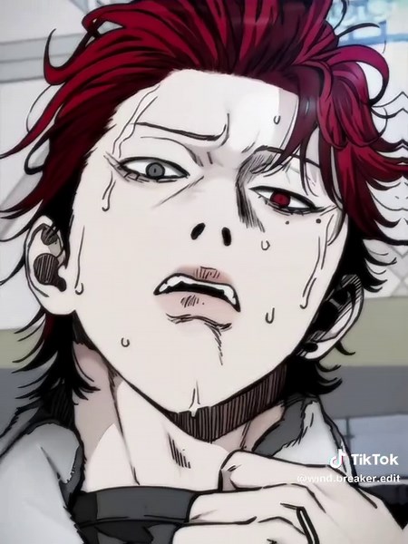 Windbreaker Manhwa: Vinny's Journey Explained