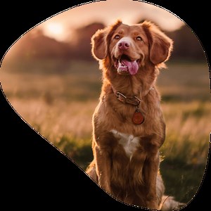 Contact Us - Statewide Service Center