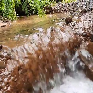 Rain water flowing into a percolation pit to catch the rain and support rainwater harvesting. #savewater #rain #water | Mission Green Mumbai