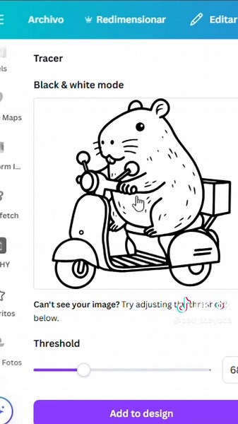 Ideas creativas en Canva: Quitar color a imágenes