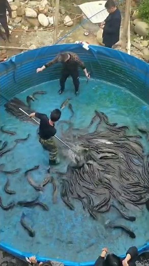 Fish farming pond with equipments