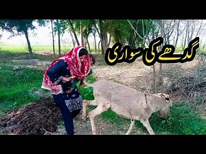 Donkey ride/ donkey riding pakistani lady/donkey riding village girl/jutti village vlog
