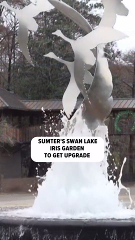 Iris garden in Sumter to get major upgrade
