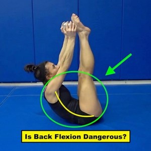 Is ALL back flexion dangerous?🤔Let’s talk about it... . If we look deep in your spine each disc has an inner nucleus that is surrounded by layers of collagen rings held together by a ground substance, that can adapt over time to the forces place on it.✅ . Gymnasts focus a lot of their core work with exercises that move the spine through full ranges. Over time this adapts the collagen rings to become more flexible and resilient to safely handle skill work that requires forced end range of flexio