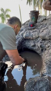 A dive into a MUD HOLE for a turtle! #turtles #animals #mud #nature | Nick The Wrangler