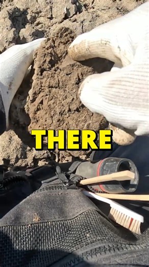 Metal Detector FIND
