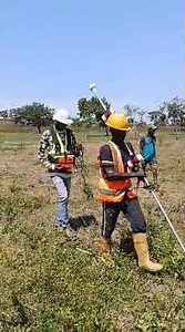 ground magnetic survey to dictate lead-zinc mineralisation within the sedimentary basin