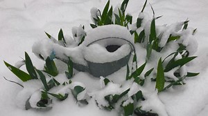 Snow totals: Here's how much snow has fallen in Colorado