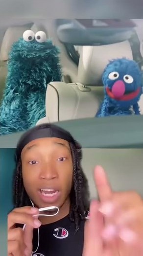 What happened To Big Bird from Sesame Street