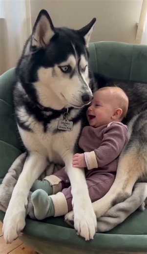 Dog and Baby Snuggle 😂 Sheldon Holds Leonard Close