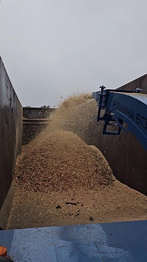12K views · 103 reactions | Wood Chipper Wednesday! Keep sending those chips flying... #piranhachippers #woodchipperwednesday #australianmade #woodchips | Piranha Chippers | Facebook