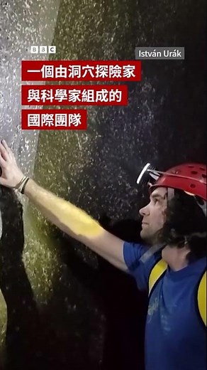 科學家或發現世界上最大的蜘蛛網－ BBC News 中文