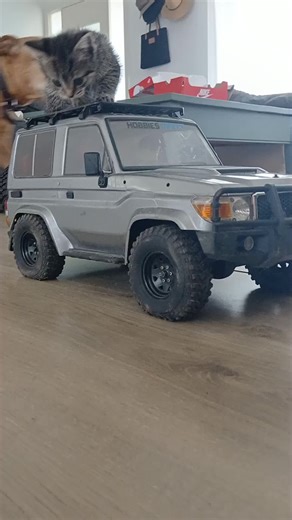 Scale Rig for Tiny Tire Outdoor Crawling