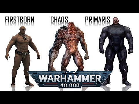 Space Marine Differences - Firstborn, Chaos and Primaris (Warhammer 40K)